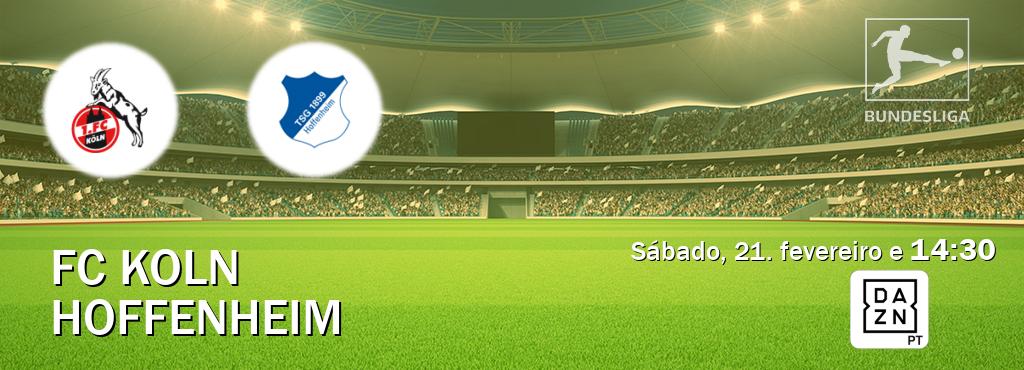 Jogo entre FC Koln e Hoffenheim tem emissão DAZN (sábado, 21. fevereiro e  14:30).