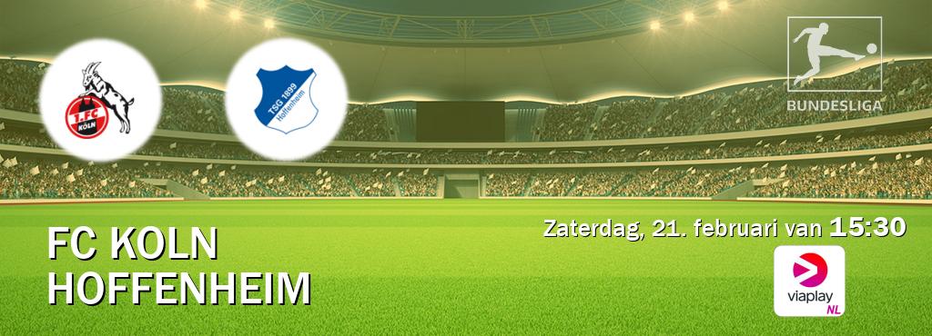 Wedstrijd tussen FC Koln en Hoffenheim live op tv bij Viaplay Nederland (zaterdag, 21. februari van  15:30).