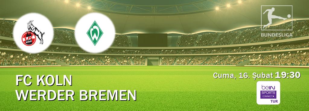 Karşılaşma FC Koln - Werder Bremen Bein Sports Connect'den canlı yayınlanacak (Cuma, 16. Şubat  19:30).