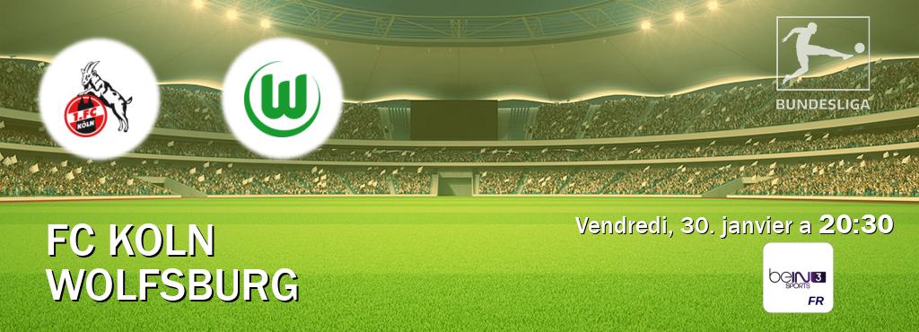 Match entre FC Koln et Wolfsburg en direct à la beIN Sports 3 (vendredi, 30. janvier a  20:30).