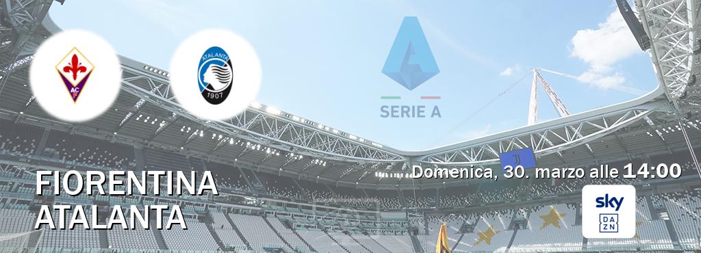 Il match Fiorentina - Atalanta sarà trasmesso in diretta TV su Sky Sport Bar (ore 14:00)