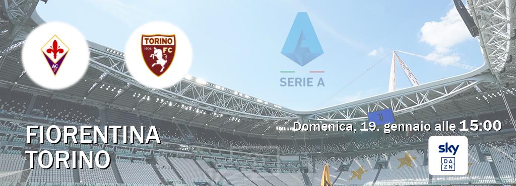 Il match Fiorentina - Torino sarà trasmesso in diretta TV su Sky Sport Bar (ore 15:00)