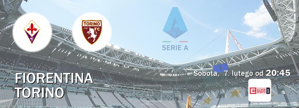 Gra między Fiorentina i Torino transmisja na żywo w Eleven Sport 1 (sobota,  7. lutego od  20:45).