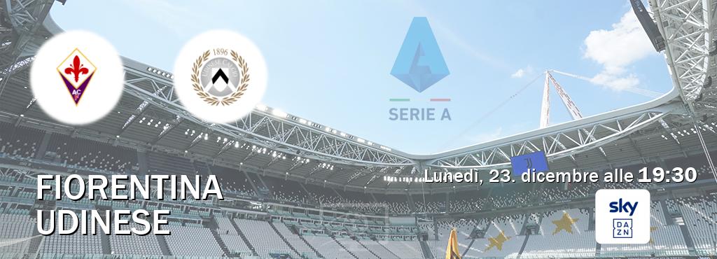 Il match Fiorentina - Udinese sarà trasmesso in diretta TV su Sky Sport Bar (ore 19:30)