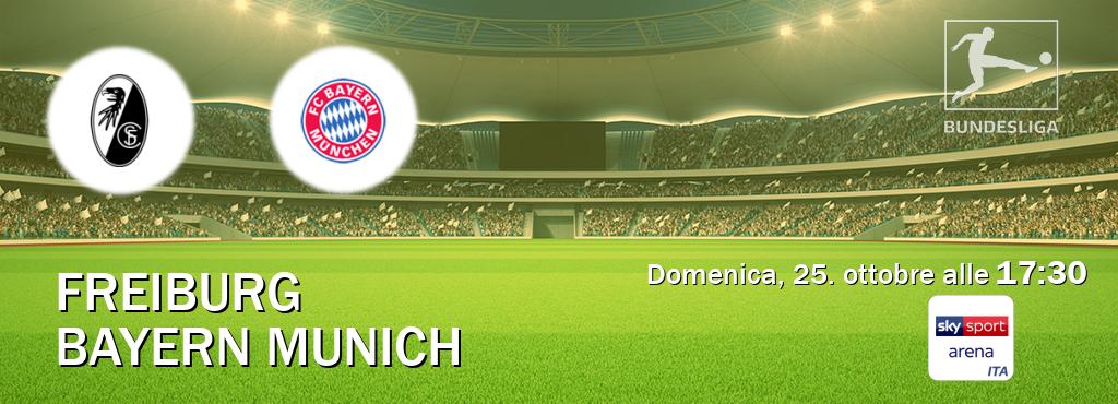Il match Freiburg - Bayern Munich sarà trasmesso in diretta TV su Sky Sport Arena (ore 17:30)