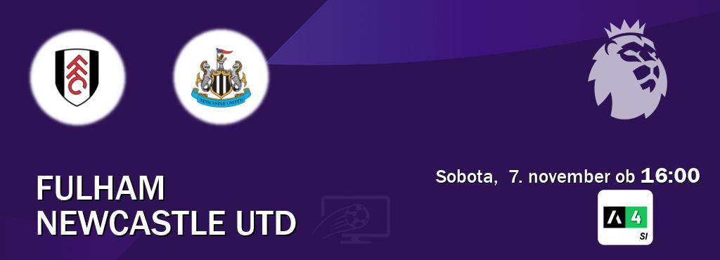 Dvoboj Fulham in Newcastle Utd s prenosom tekme v živo na Arena Sport 4.