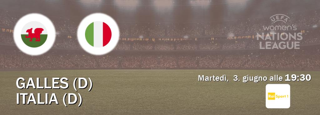 Il match Galles (D) - Italia (D) sarà trasmesso in diretta TV su Rai Sport (ore 19:30)