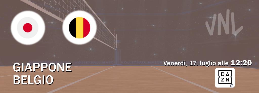 Il match Giappone - Belgio sarà trasmesso in diretta TV su DAZN Italia (ore 12:20)