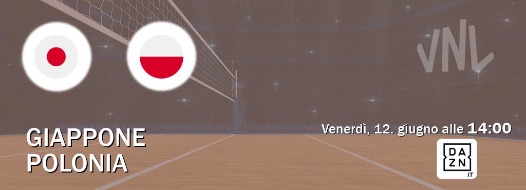 Il match Giappone - Polonia sarà trasmesso in diretta TV su DAZN Italia (ore 14:00)
