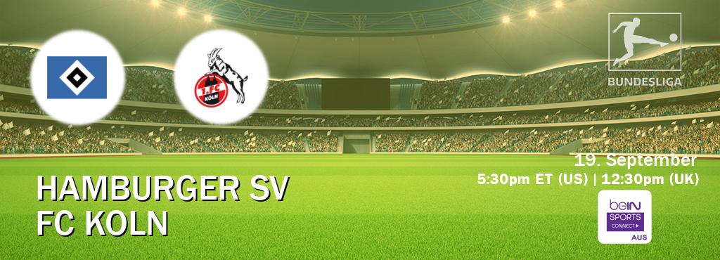 You can watch game live between Hamburger SV and FC Koln on beIN Sports Connect(AU). You can watch game live between Hamburger SV and FC Koln on beIN Sports Connect(AU).