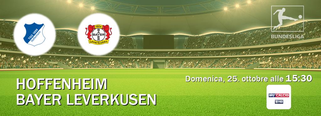 Il match Hoffenheim - Bayer Leverkusen sarà trasmesso in diretta TV su Sky Sport 258 (ore 15:30) Il match Hoffenheim - Bayer Leverkusen sarà trasmesso in diretta TV su Sky Sport 258 (ore 15:30)