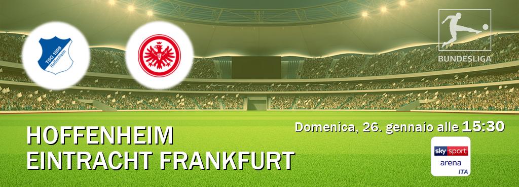 Il match Hoffenheim - Eintracht Frankfurt sarà trasmesso in diretta TV su Sky Sport Arena (ore 15:30)