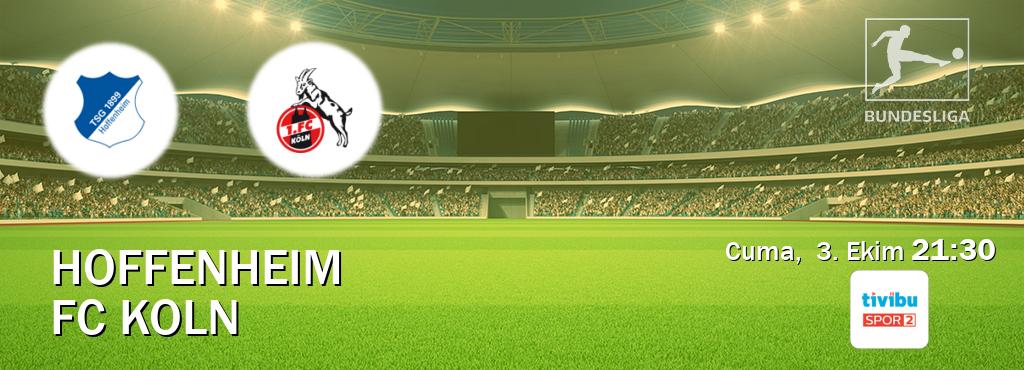 Karşılaşma Hoffenheim - FC Koln Tivibu Spor 2'den canlı yayınlanacak (Cuma,  3. Ekim  21:30).