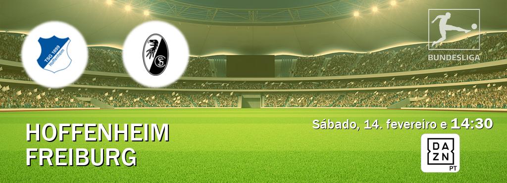 Jogo entre Hoffenheim e Freiburg tem emissão DAZN (sábado, 14. fevereiro e  14:30).