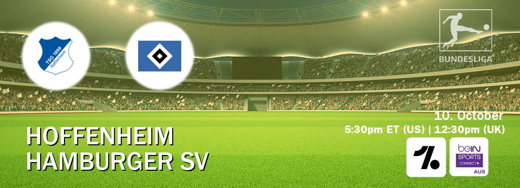 You can watch game live between Hoffenheim and Hamburger SV on OneFootball and beIN Sports Connect(AU).