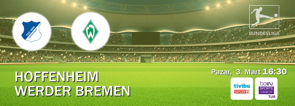 Karşılaşma Hoffenheim - Werder Bremen Tivibu Spor 2 ve Bein Sports Connect'den canlı yayınlanacak (Pazar,  3. Mart  16:30).
