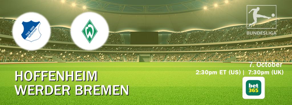 You can watch game live between Hoffenheim and Werder Bremen on bet365.