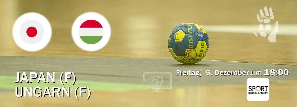 Das Spiel zwischen Japan (F) und Ungarn (F) wird am Freitag,  5. Dezember um  18:00, live vom Sportdeutschland.TV übertragen.