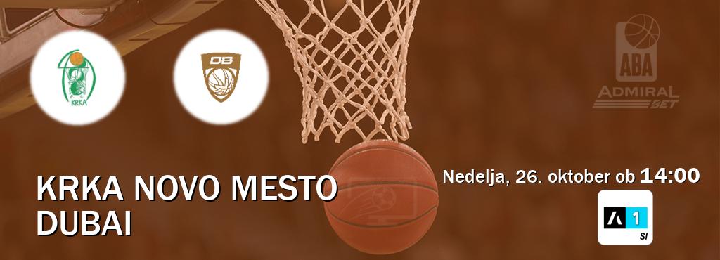 Prenos tekme med Krka Novo Mesto in Dubai v živo na Arena Sport 1 (nedelja, 26. oktober ob  14:00 uri).