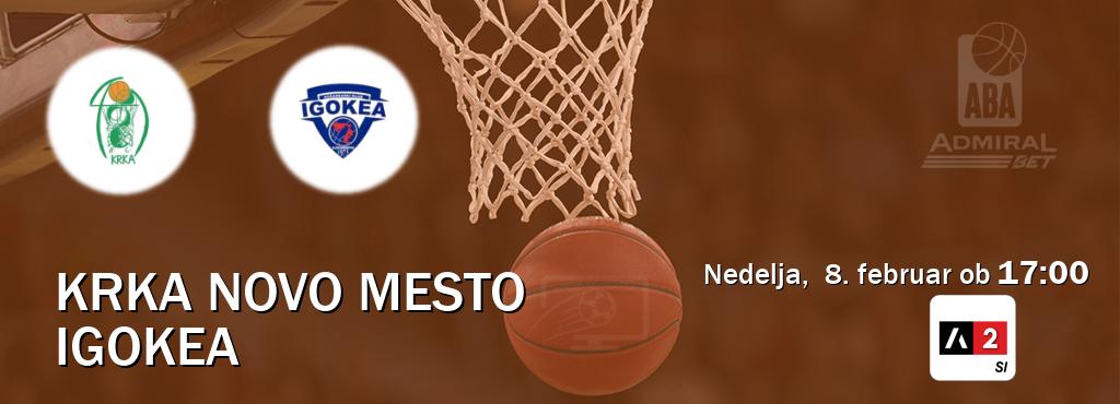 Dvoboj Krka Novo Mesto in Igokea s prenosom tekme v živo na Arena Sport 2.