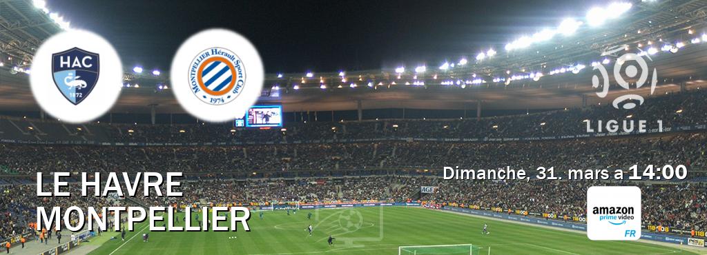 Match entre Le Havre et Montpellier en direct à la Amazon Prime FR (dimanche, 31. mars a  14:00).