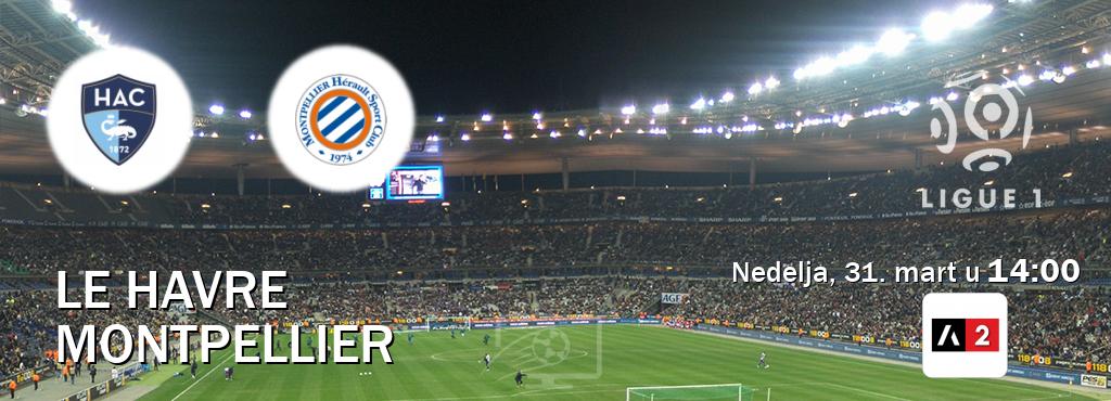 Izravni prijenos utakmice Le Havre i Montpellier pratite uživo na Arena Sport 2 (nedelja, 31. mart u  14:00).