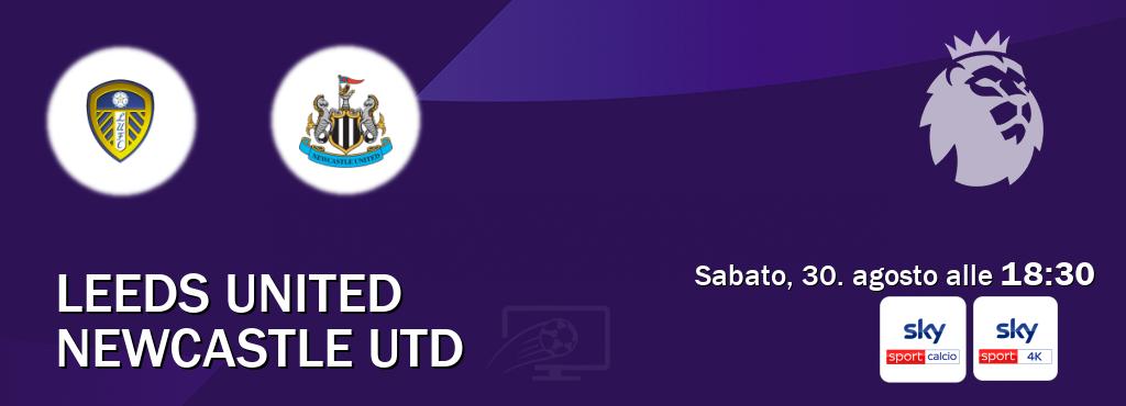 Il match Leeds United - Newcastle Utd sarà trasmesso in diretta TV su Sky Sport Calcio e Sky Sport 4K (ore 18:30) Il match Leeds United - Newcastle Utd sarà trasmesso in diretta TV su Sky Sport Calcio e Sky Sport 4K (ore 18:30)