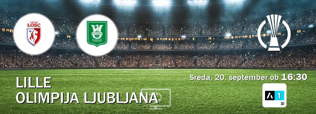 Dvoboj Lille in Olimpija Ljubljana s prenosom tekme v živo na Arena Sport 1.