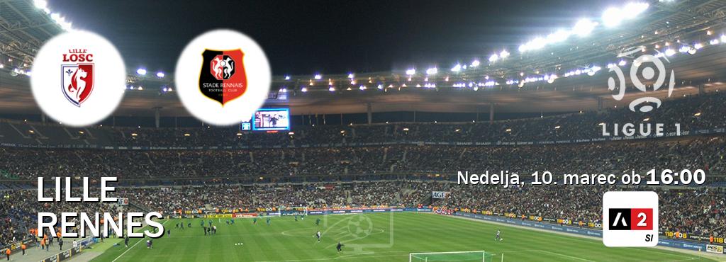 Ne zamudi prenosa tekme Lille - Rennes v živo na Arena Sport 2.
