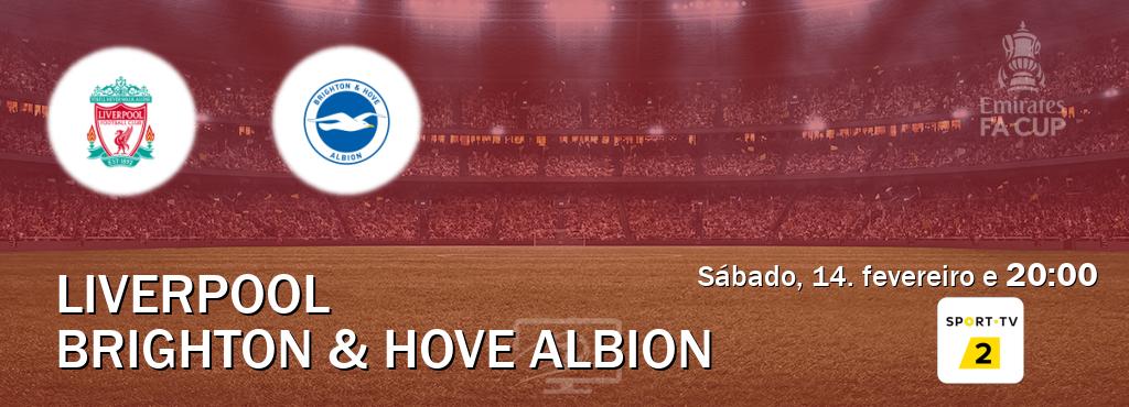 Jogo entre Liverpool e Brighton & Hove Albion tem emissão Sport TV 2 (sábado, 14. fevereiro e  20:00).