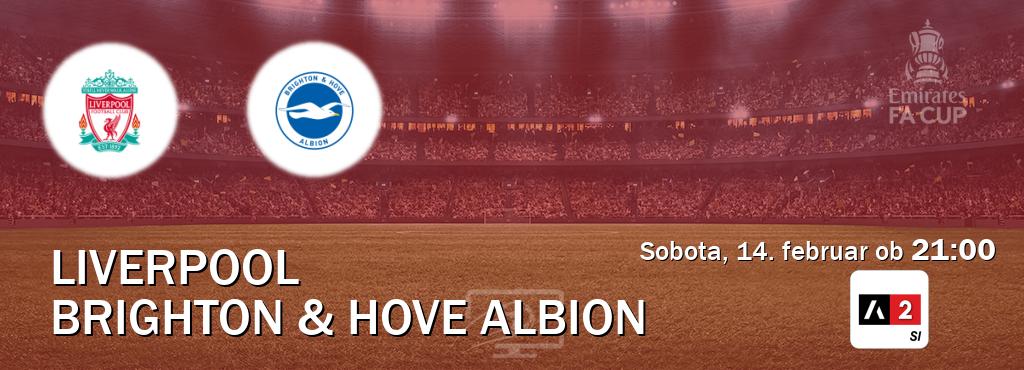 Prenos tekme med Liverpool in Brighton & Hove Albion v živo na Arena Sport 2 (sobota, 14. februar ob  21:00 uri).