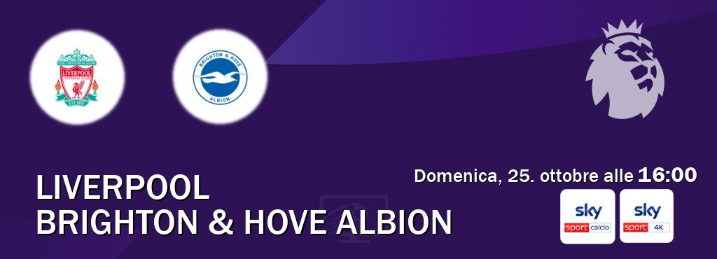 Il match Liverpool - Brighton & Hove Albion sarà trasmesso in diretta TV su Sky Sport Calcio e Sky Sport 4K (ore 16:00)