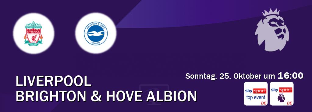 Das Spiel zwischen Liverpool und Brighton & Hove Albion wird am Sonntag, 25. Oktober um 16:00, live vom Sky Sport Top Event und Sky Sport Premier League übertragen. Das Spiel zwischen Liverpool und Brighton & Hove Albion wird am Sonntag, 25. Oktober um 16:00, live vom Sky Sport Top Event und Sky Sport Premier League übertragen.