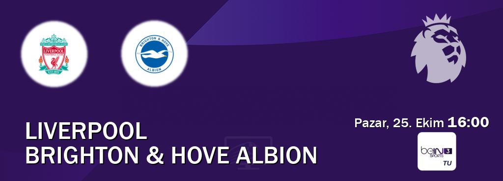 Karşılaşma Liverpool - Brighton & Hove Albion beIN SPORTS 3'den canlı yayınlanacak (Pazar, 25. Ekim 16:00). Karşılaşma Liverpool - Brighton & Hove Albion beIN SPORTS 3'den canlı yayınlanacak (Pazar, 25. Ekim 16:00).