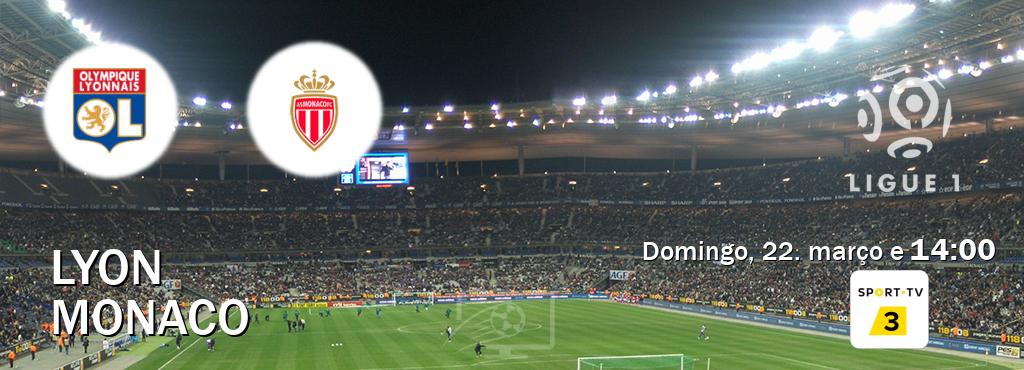 Jogo entre Lyon e Monaco tem emissão Sport TV 3 (domingo, 22. março e  14:00).