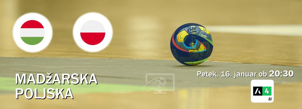 Madžarska in Poljska v živo na Arena Sport 4. Prenos tekme bo v petek, 16. januar ob  20:30