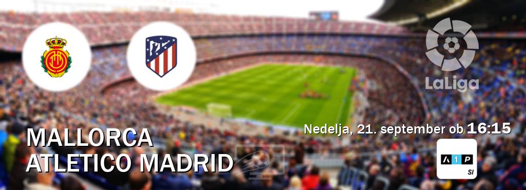 Prenos tekme med Mallorca in Atletico Madrid v živo na Arena Sport Premium (nedelja, 21. september ob 16:15 uri). Prenos tekme med Mallorca in Atletico Madrid v živo na Arena Sport Premium (nedelja, 21. september ob 16:15 uri).