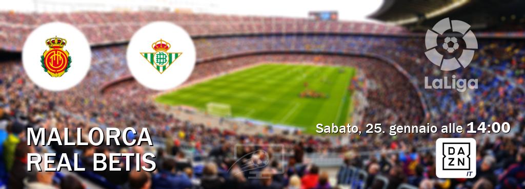 Il match Mallorca - Real Betis sarà trasmesso in diretta TV su DAZN Italia (ore 14:00)