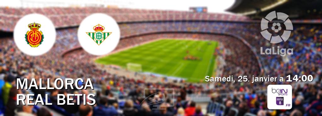 Match entre Mallorca et Real Betis en direct à la beIN Sports 8 Max (samedi, 25. janvier a  14:00).