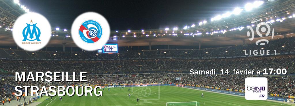 Match entre Marseille et Strasbourg en direct à la beIN Sports 1 (samedi, 14. février a  17:00).