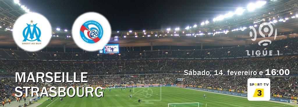 Jogo entre Marseille e Strasbourg tem emissão Sport TV 3 (sábado, 14. fevereiro e  16:00).