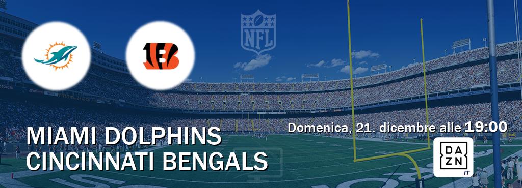 Il match Miami Dolphins - Cincinnati Bengals sarà trasmesso in diretta TV su DAZN Italia (ore 19:00)