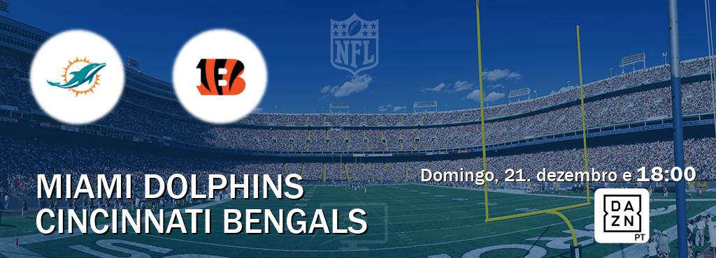 Jogo entre Miami Dolphins e Cincinnati Bengals tem emissão DAZN (domingo, 21. dezembro e  18:00).