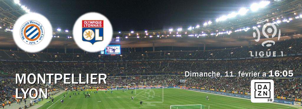 Match entre Montpellier et Lyon en direct à la DAZN (dimanche, 11. février a  16:05).