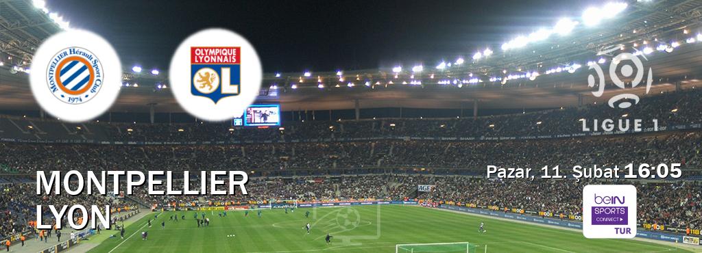Karşılaşma Montpellier - Lyon Bein Sports Connect'den canlı yayınlanacak (Pazar, 11. Şubat  16:05).