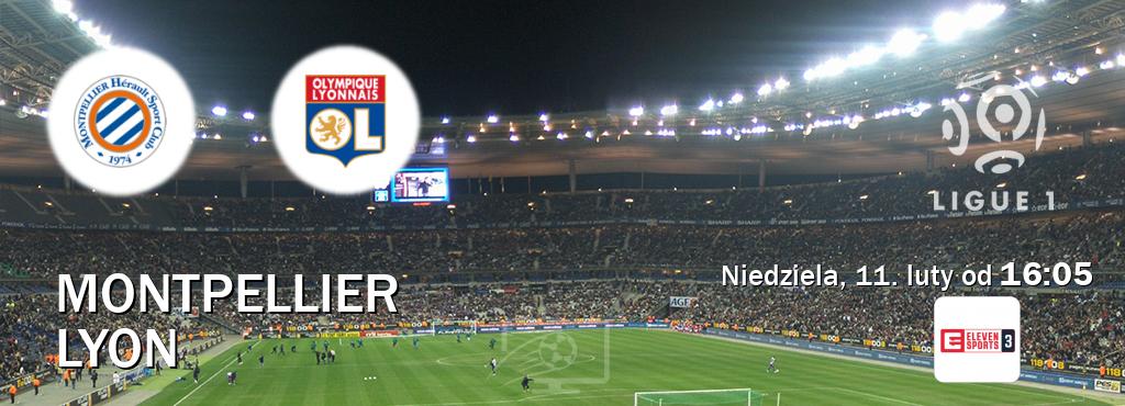 Gra między Montpellier i Lyon transmisja na żywo w Eleven Sports 3 (niedziela, 11. luty od  16:05).
