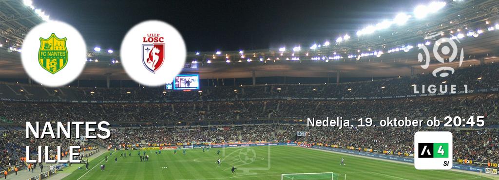 Prenos tekme med Nantes in Lille v živo na Arena Sport 4 (nedelja, 19. oktober ob 20:45 uri). Prenos tekme med Nantes in Lille v živo na Arena Sport 4 (nedelja, 19. oktober ob 20:45 uri).