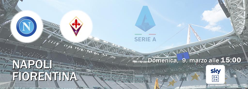 Il match Napoli - Fiorentina sarà trasmesso in diretta TV su Sky Sport Bar (ore 15:00)