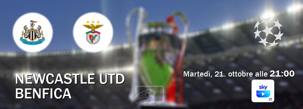 Il match Newcastle Utd - Benfica sarà trasmesso in diretta TV su SKY Go Italia (ore 21:00) Il match Newcastle Utd - Benfica sarà trasmesso in diretta TV su SKY Go Italia (ore 21:00)