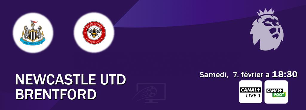 Match entre Newcastle Utd et Brentford en direct à la Canal+ Live 1 et Canal+ Foot (samedi,  7. février a  18:30).